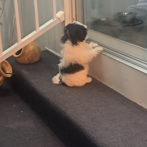 Meet your Posher, Jacquie - Picture 6 of 8